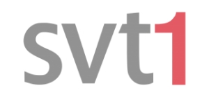 SVT Play logo